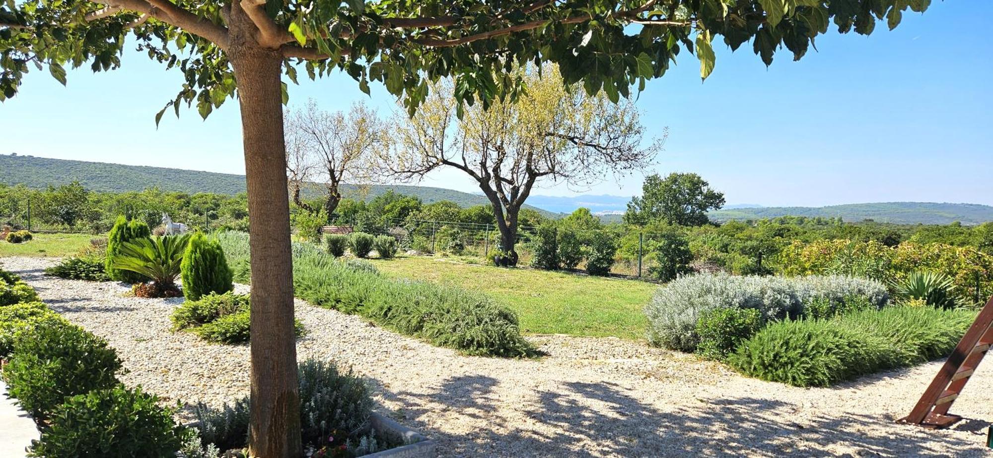 Villa Jelena Zadar Exterior foto